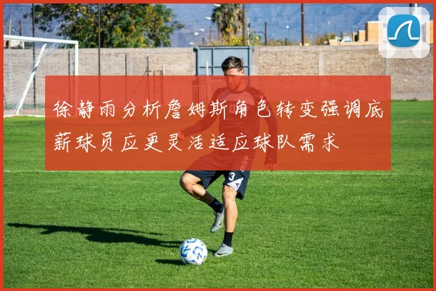 徐静雨分析詹姆斯角色转变强调底薪球员应更灵活适应球队需求