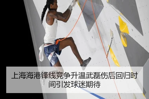 上海海港锋线竞争升温武磊伤后回归时间引发球迷期待